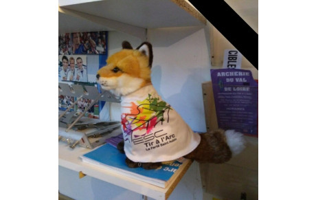 Reprise des séances jeudi 7