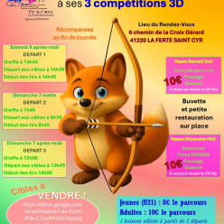 Compétition Tir 3D